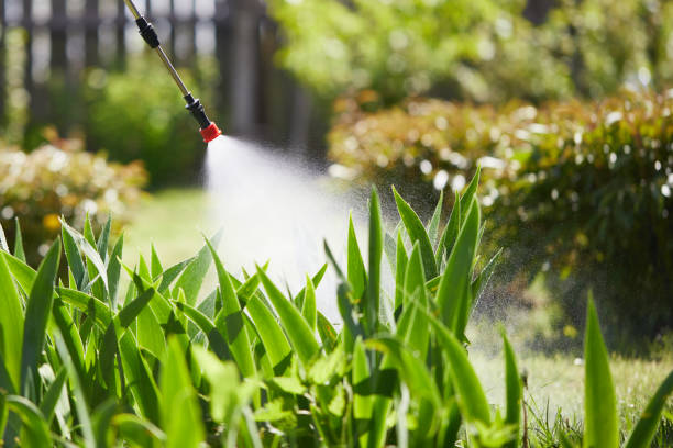 24/7 Emergency Wasp Removal experts in Spring Hill, FL