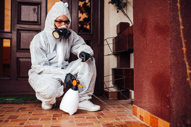 Reliable Wasp Removal contractor in Spring Hill, FL by Show Me Pest Control