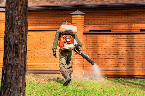 Top rated local Wasp Removal specialists in Spring Hill, FL